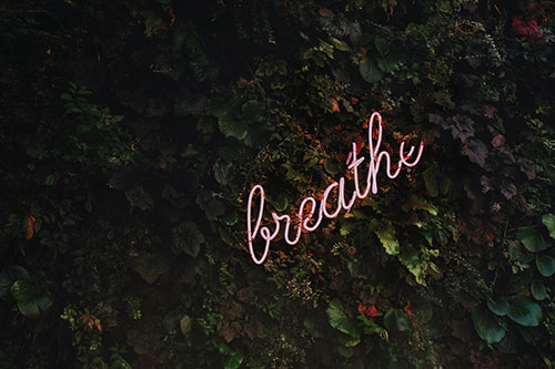 breathe neon on leaf background