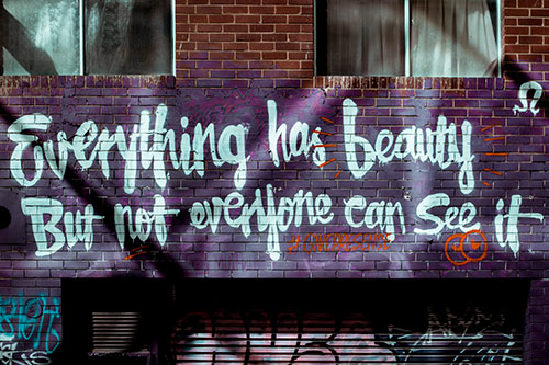 everything has beauty but not everyone can see it.